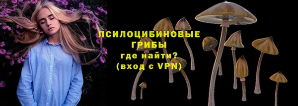 apvp Приозерск