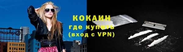 твердый Протвино