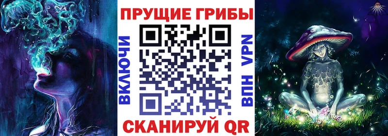 Купить закладки Семикаракорск Галлюциногенные грибы мицелий
